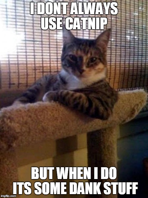 The Most Interesting Cat In The World Meme | I DONT ALWAYS USE CATNIP BUT WHEN I DO ITS SOME DANK STUFF | image tagged in memes,the most interesting cat in the world | made w/ Imgflip meme maker