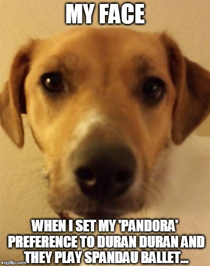 Get it right, 'Pandora'... | MY FACE WHEN I SET MY 'PANDORA' PREFERENCE TO DURAN DURAN AND THEY PLAY SPANDAU BALLET... | image tagged in music | made w/ Imgflip meme maker