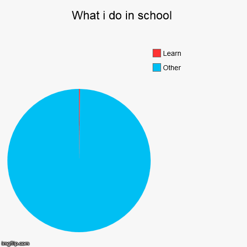 What i do in school | image tagged in funny,pie charts,school,other | made w/ Imgflip chart maker