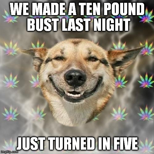Stoner Dog | WE MADE A TEN POUND BUST LAST NIGHT JUST TURNED IN FIVE | image tagged in memes,stoner dog | made w/ Imgflip meme maker