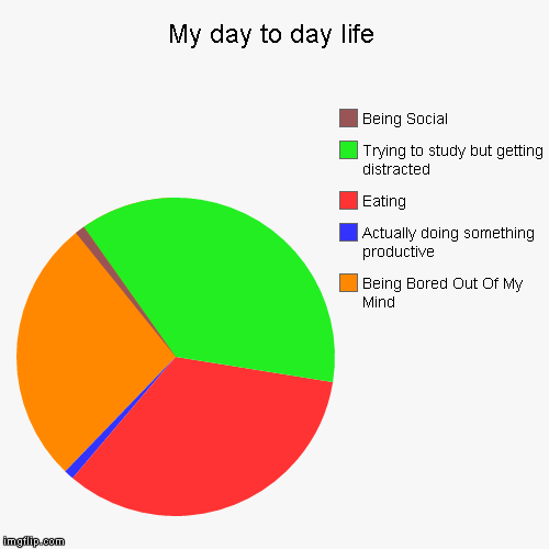 So Accurate. | image tagged in funny,pie charts | made w/ Imgflip chart maker