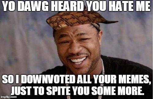 Yo Dawg Heard You | YO DAWG HEARD YOU HATE ME SO I DOWNVOTED ALL YOUR MEMES, JUST TO SPITE YOU SOME MORE. | image tagged in memes,yo dawg heard you,scumbag | made w/ Imgflip meme maker