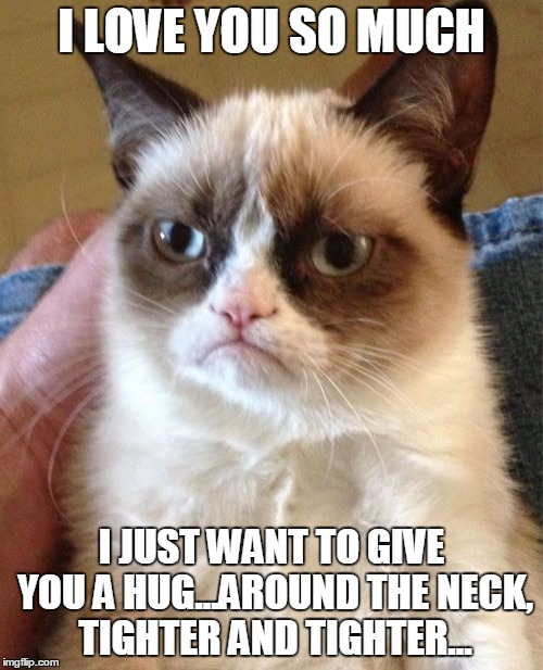 Grumpy Cat Meme | I LOVE YOU SO MUCH I JUST WANT TO GIVE YOU A HUG...AROUND THE NECK, TIGHTER AND TIGHTER... | image tagged in memes,grumpy cat | made w/ Imgflip meme maker