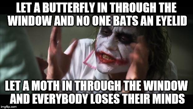 And everybody loses their minds Meme | LET A BUTTERFLY IN THROUGH THE WINDOW AND NO ONE BATS AN EYELID LET A MOTH IN THROUGH THE WINDOW AND EVERYBODY LOSES THEIR MINDS | image tagged in memes,and everybody loses their minds | made w/ Imgflip meme maker