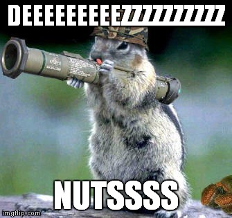 Bazooka Squirrel | DEEEEEEEEEZZZZZZZZZZ NUTSSSS | image tagged in memes,bazooka squirrel | made w/ Imgflip meme maker