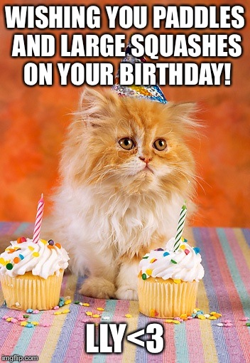WISHING YOU PADDLES AND LARGE SQUASHES ON YOUR BIRTHDAY! LLY<3 | made w/ Imgflip meme maker