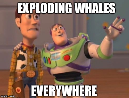 X, X Everywhere Meme | EXPLODING WHALES EVERYWHERE | image tagged in memes,x x everywhere | made w/ Imgflip meme maker