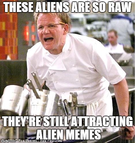 Chef Gordon Ramsay Meme | THESE ALIENS ARE SO RAW THEY'RE STILL ATTRACTING ALIEN MEMES | image tagged in memes,chef gordon ramsay | made w/ Imgflip meme maker