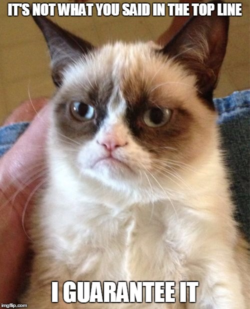Grumpy Cat Meme | IT'S NOT WHAT YOU SAID IN THE TOP LINE I GUARANTEE IT | image tagged in memes,grumpy cat | made w/ Imgflip meme maker