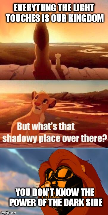 Simba Shadowy Place Meme | EVERYTHNG THE LIGHT TOUCHES IS OUR KINGDOM YOU DON'T KNOW THE POWER OF THE DARK SIDE | image tagged in memes,simba shadowy place | made w/ Imgflip meme maker