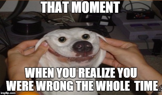 That Moment When You Realize You Were Wrong The Whole Time | THAT MOMENT WHEN YOU REALIZE YOU WERE WRONG THE WHOLE TIME | image tagged in that moment when | made w/ Imgflip meme maker