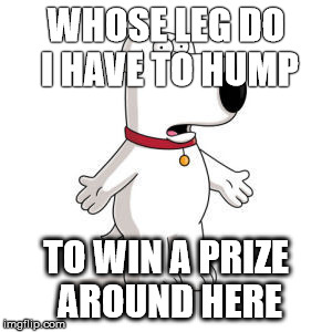 Family Guy Brian Meme | WHOSE LEG DO I HAVE TO HUMP TO WIN A PRIZE AROUND HERE | image tagged in memes,family guy brian | made w/ Imgflip meme maker