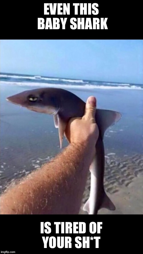 EVEN THIS BABY SHARK IS TIRED OF YOUR SH*T | image tagged in bs | made w/ Imgflip meme maker