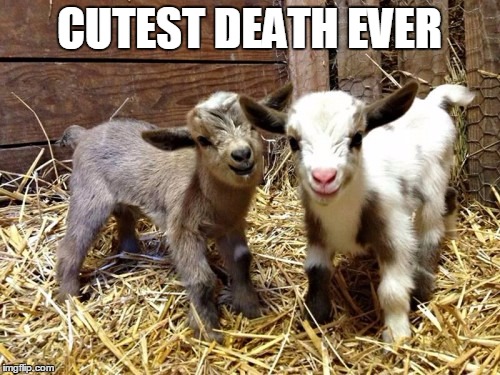 CUTEST DEATH EVER | made w/ Imgflip meme maker