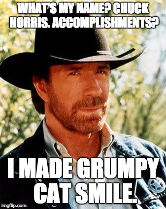 Chuck Norris | WHAT'S MY NAME? CHUCK NORRIS. ACCOMPLISHMENTS? I MADE GRUMPY CAT SMILE. | image tagged in chuck norris | made w/ Imgflip meme maker