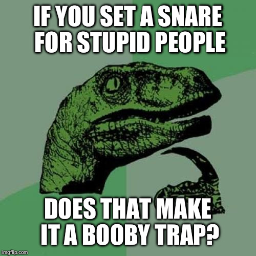 Philosoraptor Meme | IF YOU SET A SNARE FOR STUPID PEOPLE DOES THAT MAKE IT A BOOBY TRAP? | image tagged in memes,philosoraptor | made w/ Imgflip meme maker