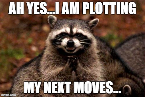 Evil Plotting Raccoon | AH YES...I AM PLOTTING MY NEXT MOVES... | image tagged in memes,evil plotting raccoon | made w/ Imgflip meme maker