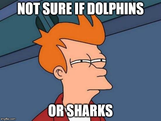 Happens every time.. | NOT SURE IF DOLPHINS OR SHARKS | image tagged in memes,futurama fry | made w/ Imgflip meme maker