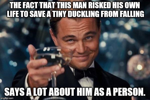Leonardo Dicaprio Cheers Meme | THE FACT THAT THIS MAN RISKED HIS OWN LIFE TO SAVE A TINY DUCKLING FROM FALLING SAYS A LOT ABOUT HIM AS A PERSON. | image tagged in memes,leonardo dicaprio cheers | made w/ Imgflip meme maker