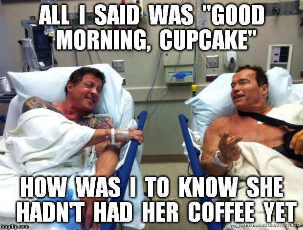 r n t | ALL  I  SAID  WAS  "GOOD  MORNING,  CUPCAKE" HOW  WAS  I  TO  KNOW  SHE  HADN'T  HAD  HER  COFFEE  YET | image tagged in r n t | made w/ Imgflip meme maker