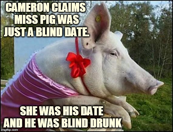 Cameron Pig | CAMERON CLAIMS MISS PIG WAS JUST A BLIND DATE. SHE WAS HIS DATE AND HE WAS BLIND DRUNK | image tagged in cameron pig | made w/ Imgflip meme maker