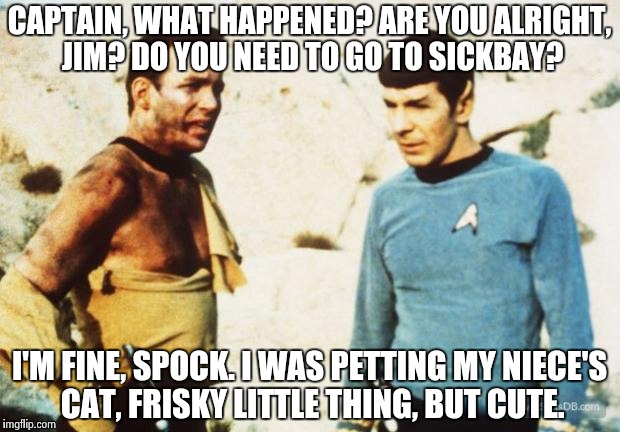 Here, Kitty, Kitty | CAPTAIN, WHAT HAPPENED? ARE YOU ALRIGHT, JIM? DO YOU NEED TO GO TO SICKBAY? I'M FINE, SPOCK. I WAS PETTING MY NIECE'S CAT, FRISKY LITTLE THI | image tagged in beat up captain kirk,mugatu so hot right now,so hot right now | made w/ Imgflip meme maker