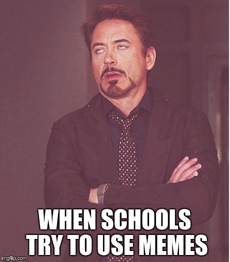 Face You Make Robert Downey Jr Meme | WHEN SCHOOLS TRY TO USE MEMES | image tagged in memes,face you make robert downey jr | made w/ Imgflip meme maker