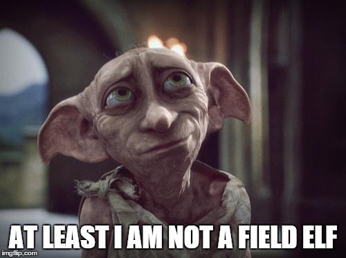 Small Victories | AT LEAST I AM NOT A FIELD ELF | image tagged in dobby,funny,small victories,racism | made w/ Imgflip meme maker