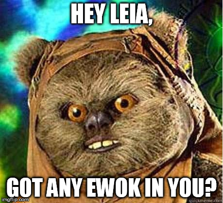 Wicket spots dat ass! | HEY LEIA, GOT ANY EWOK IN YOU? | image tagged in prepare your anus,rape face,star wars,leia,disney killed star wars | made w/ Imgflip meme maker