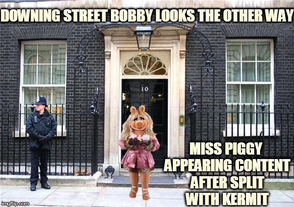 Miss Piggy  | DOWNING STREET BOBBY LOOKS THE OTHER WAY MISS PIGGY APPEARING CONTENT AFTER SPLIT WITH KERMIT | image tagged in miss piggy | made w/ Imgflip meme maker