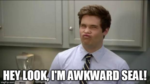 workaholics adam | HEY LOOK, I'M AWKWARD SEAL! | image tagged in workaholics adam | made w/ Imgflip meme maker