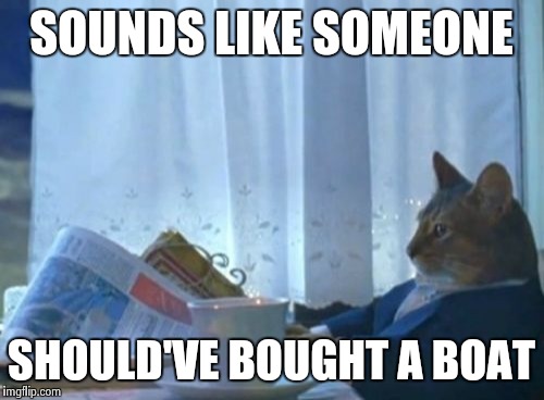I Should Buy A Boat Cat Meme | SOUNDS LIKE SOMEONE SHOULD'VE BOUGHT A BOAT | image tagged in memes,i should buy a boat cat | made w/ Imgflip meme maker