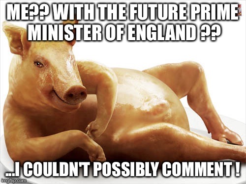 ME?? WITH THE FUTURE PRIME MINISTER OF ENGLAND ?? ...I COULDN'T POSSIBLY COMMENT ! | image tagged in david cameron | made w/ Imgflip meme maker