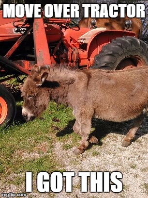 donkey's got this | MOVE OVER TRACTOR I GOT THIS | image tagged in move over | made w/ Imgflip meme maker