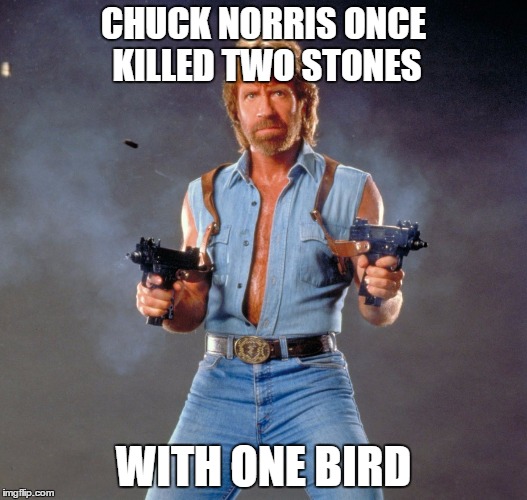Chuck Norris Guns Meme | CHUCK NORRIS ONCE KILLED TWO STONES WITH ONE BIRD | image tagged in chuck norris | made w/ Imgflip meme maker