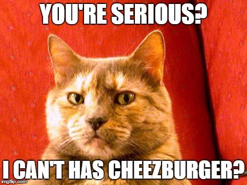 Suspicious Cat | YOU'RE SERIOUS? I CAN'T HAS CHEEZBURGER? | image tagged in memes,suspicious cat | made w/ Imgflip meme maker
