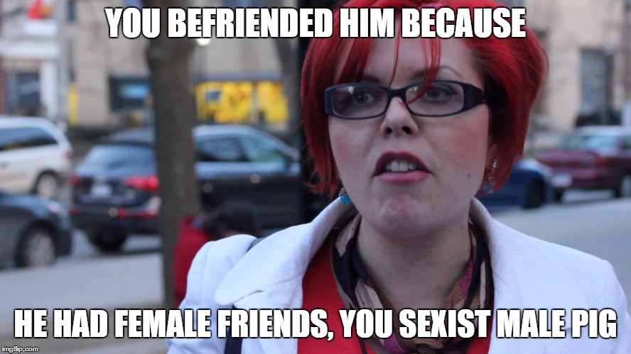 YOU BEFRIENDED HIM BECAUSE HE HAD FEMALE FRIENDS, YOU SEXIST MALE PIG | made w/ Imgflip meme maker