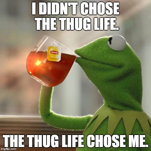 But That's None Of My Business Meme | I DIDN'T CHOSE THE THUG LIFE. THE THUG LIFE CHOSE ME. | image tagged in memes,but thats none of my business,kermit the frog | made w/ Imgflip meme maker