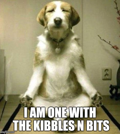 No cats | I AM ONE WITH THE KIBBLES N BITS | image tagged in no cats | made w/ Imgflip meme maker