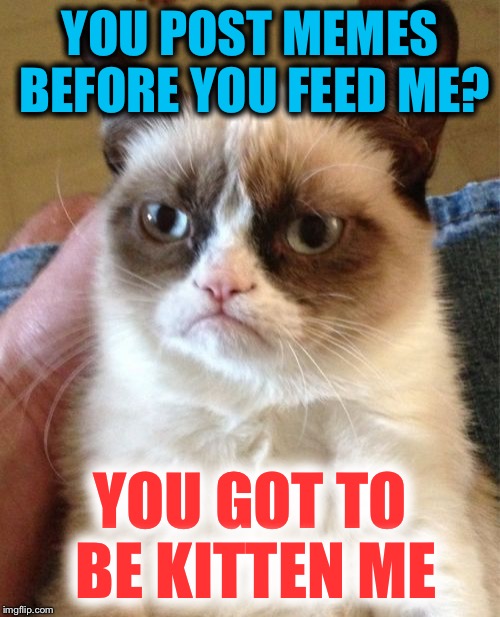 Grumpy Cat | YOU POST MEMES BEFORE YOU FEED ME? YOU GOT TO BE KITTEN ME | image tagged in memes,grumpy cat | made w/ Imgflip meme maker