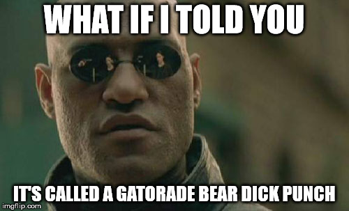 Matrix Morpheus Meme | WHAT IF I TOLD YOU IT'S CALLED A GATORADE BEAR DICK PUNCH | image tagged in memes,matrix morpheus | made w/ Imgflip meme maker