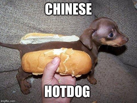 Hot Dog!! | CHINESE HOTDOG | image tagged in hot dog,meme,chinese,funny | made w/ Imgflip meme maker