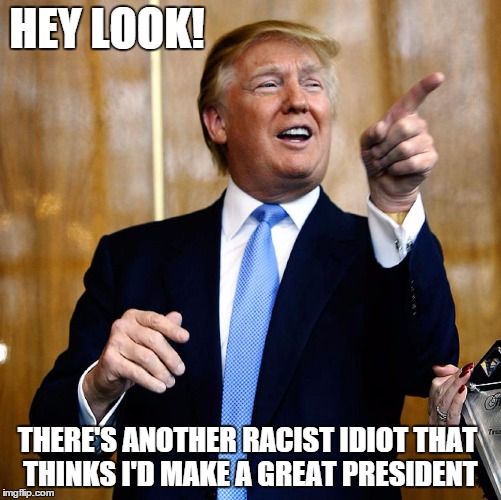 Donald Trump | HEY LOOK! THERE'S ANOTHER RACIST IDIOT THAT THINKS I'D MAKE A GREAT PRESIDENT | image tagged in donald trump | made w/ Imgflip meme maker