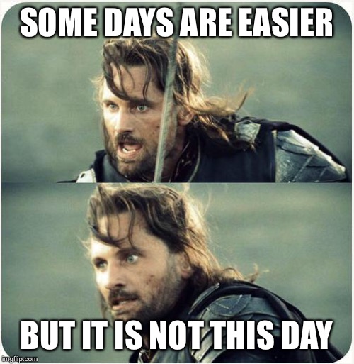 but is not this day | SOME DAYS ARE EASIER BUT IT IS NOT THIS DAY | image tagged in but is not this day | made w/ Imgflip meme maker