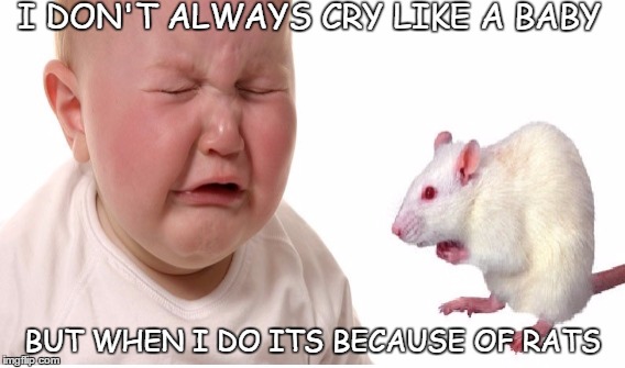 I DON'T ALWAYS CRY LIKE A BABY BUT WHEN I DO ITS BECAUSE OF RATS | image tagged in psychology | made w/ Imgflip meme maker