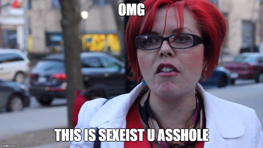 Feminazi | OMG THIS IS SEXEIST U ASSHOLE | image tagged in feminazi | made w/ Imgflip meme maker