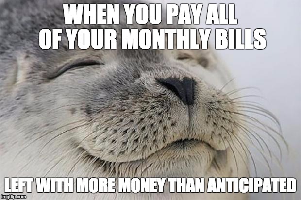 Satisfied Seal | WHEN YOU PAY ALL OF YOUR MONTHLY BILLS LEFT WITH MORE MONEY THAN ANTICIPATED | image tagged in memes,satisfied seal,AdviceAnimals | made w/ Imgflip meme maker