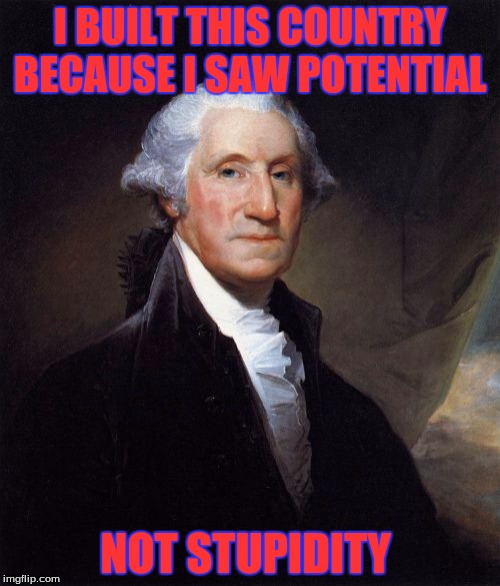 George Washington Meme | I BUILT THIS COUNTRY BECAUSE I SAW POTENTIAL NOT STUPIDITY | image tagged in memes,george washington | made w/ Imgflip meme maker