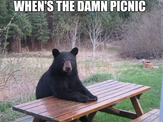 Bear of bad news | WHEN'S THE DAMN PICNIC | image tagged in bear of bad news | made w/ Imgflip meme maker