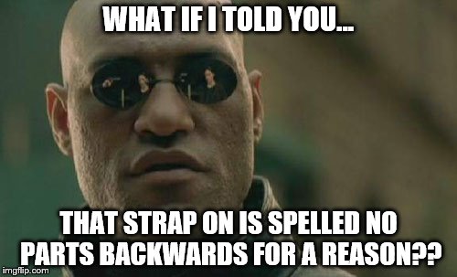 Matrix Morpheus | WHAT IF I TOLD YOU... THAT STRAP ON IS SPELLED NO PARTS BACKWARDS FOR A REASON?? | image tagged in memes,matrix morpheus | made w/ Imgflip meme maker